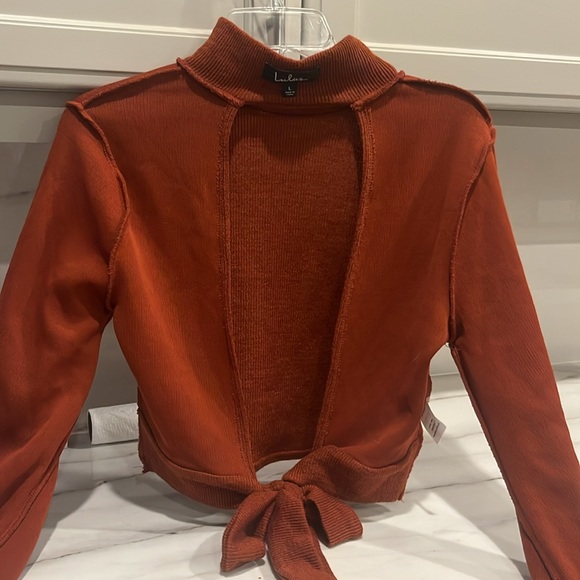 Lulus Rust Crop Sweater - Picture 2 of 5